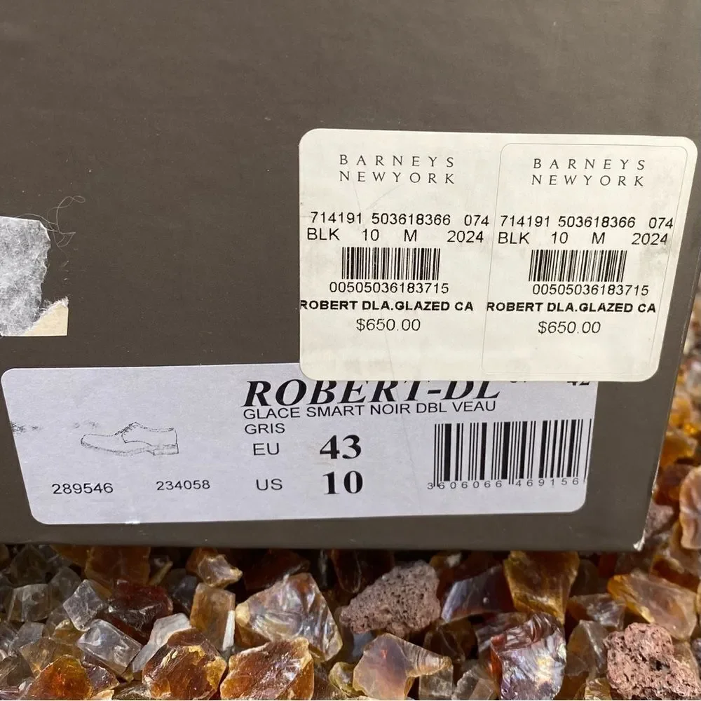 Robert Clergerie career color